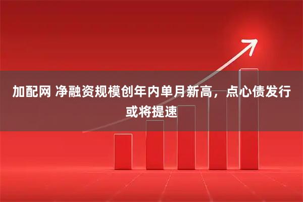 加配网 净融资规模创年内单月新高，点心债发行或将提速