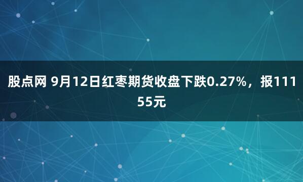 股点网 9月12日红枣期货收盘下跌0.27%，报11155元