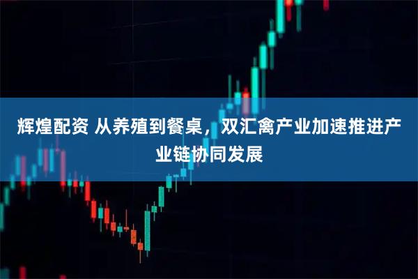 辉煌配资 从养殖到餐桌，双汇禽产业加速推进产业链协同发展