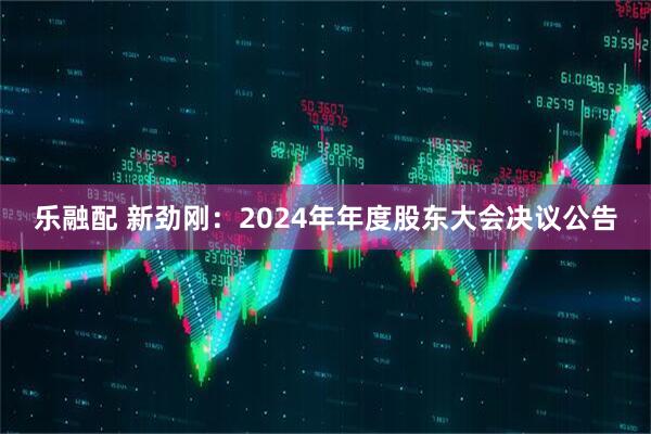 乐融配 新劲刚：2024年年度股东大会决议公告