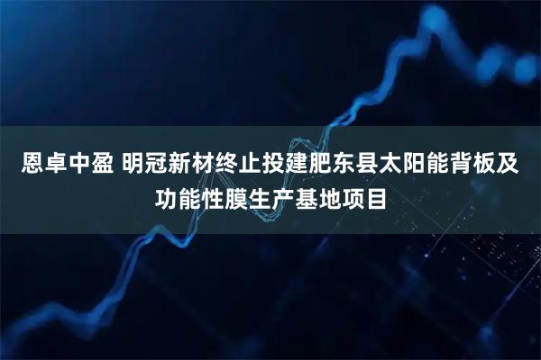 恩卓中盈 明冠新材终止投建肥东县太阳能背板及功能性膜生产基地项目