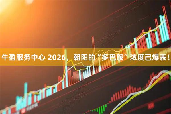 牛盈服务中心 2026，朝阳的“多巴胺”浓度已爆表！