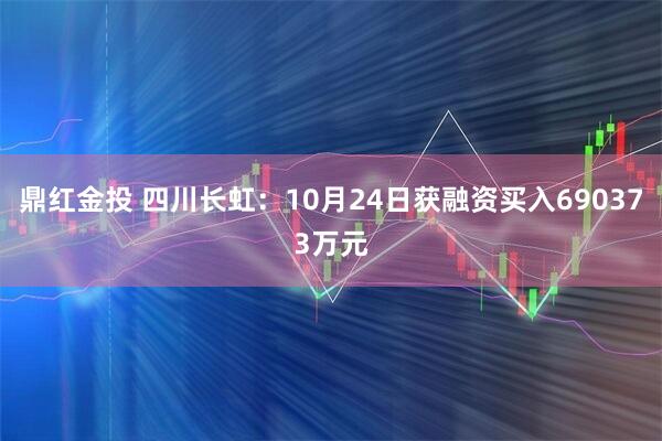 鼎红金投 四川长虹：10月24日获融资买入690373万元