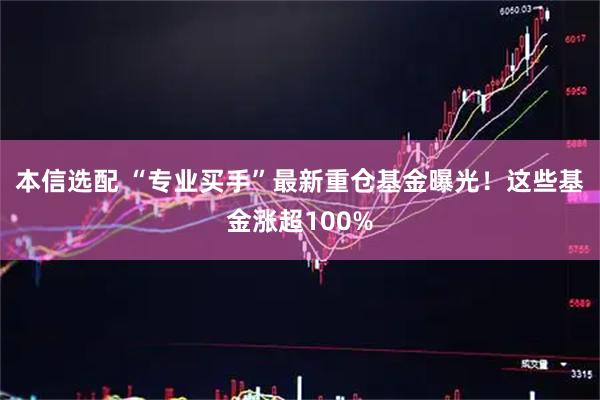本信选配 “专业买手”最新重仓基金曝光！这些基金涨超100%