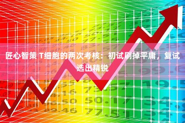 匠心智策 T细胞的两次考核：初试刷掉平庸，复试选出精锐